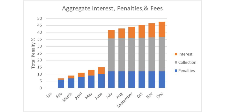 Aggregate%20Interest,%20Penalties%20&%20Fees.png